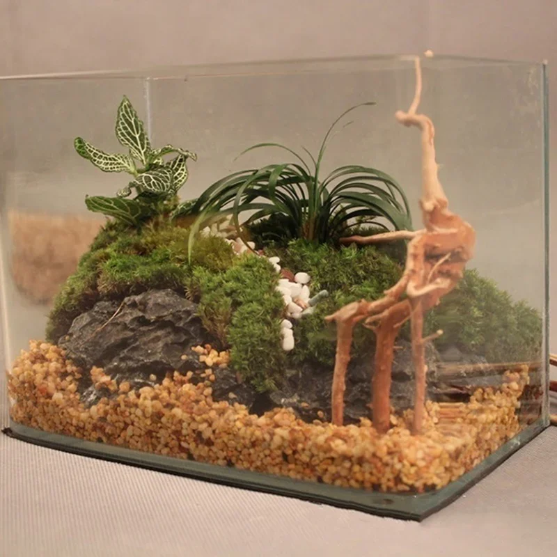 Natural Tree Trunk Driftwood A - Aquarium Plant Substrate review and price