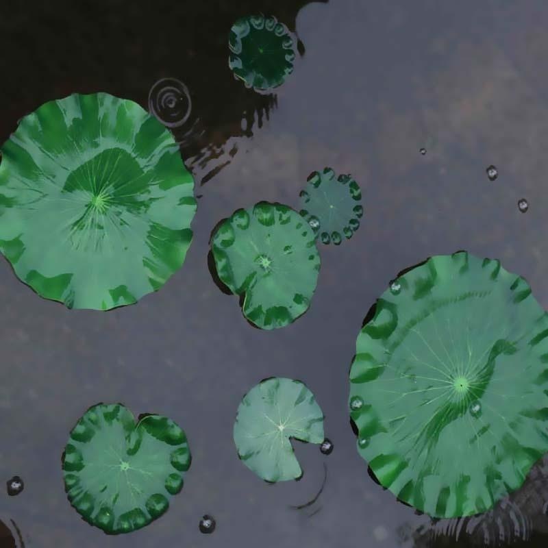 2026 Artificial Water Lily Lot - Aquarium Plant Substrate review and price