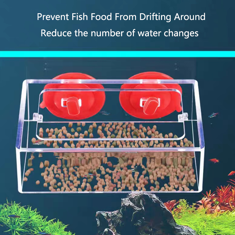 Aquarium Feeding Ring Fish Tan - Aquarium Fertilizer review and price