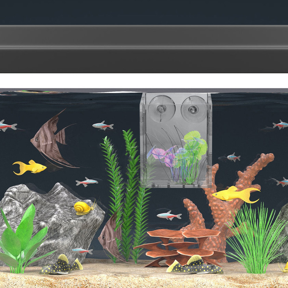 3Pcs Aquarium Plant Holder Cle - Plant Aquarium Pot review and price