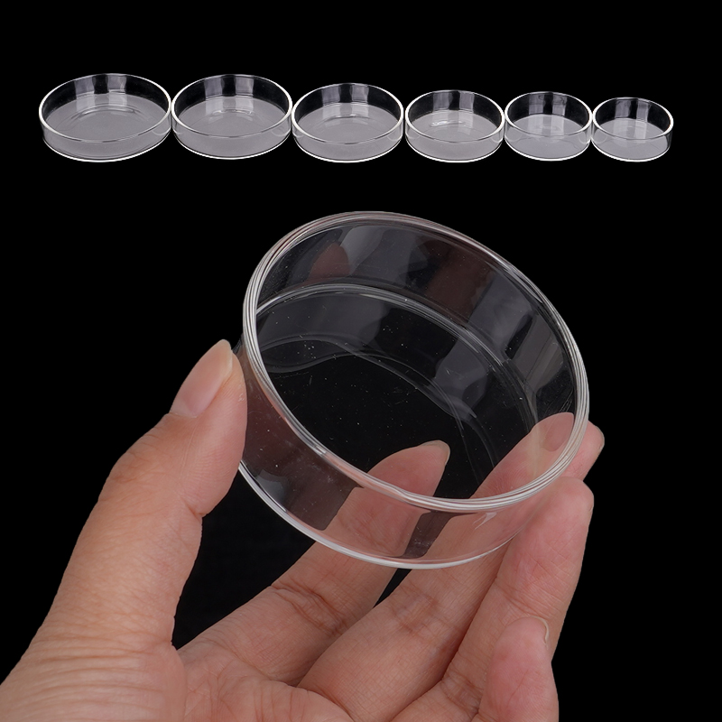 Shrimp Feeding Dish High Trans - Aquarium Fertilizer review and price