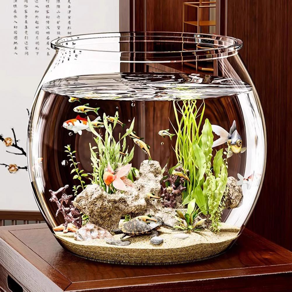 Clear Plastic round Fish Bowl  - Plant Aquarium Pot review and price