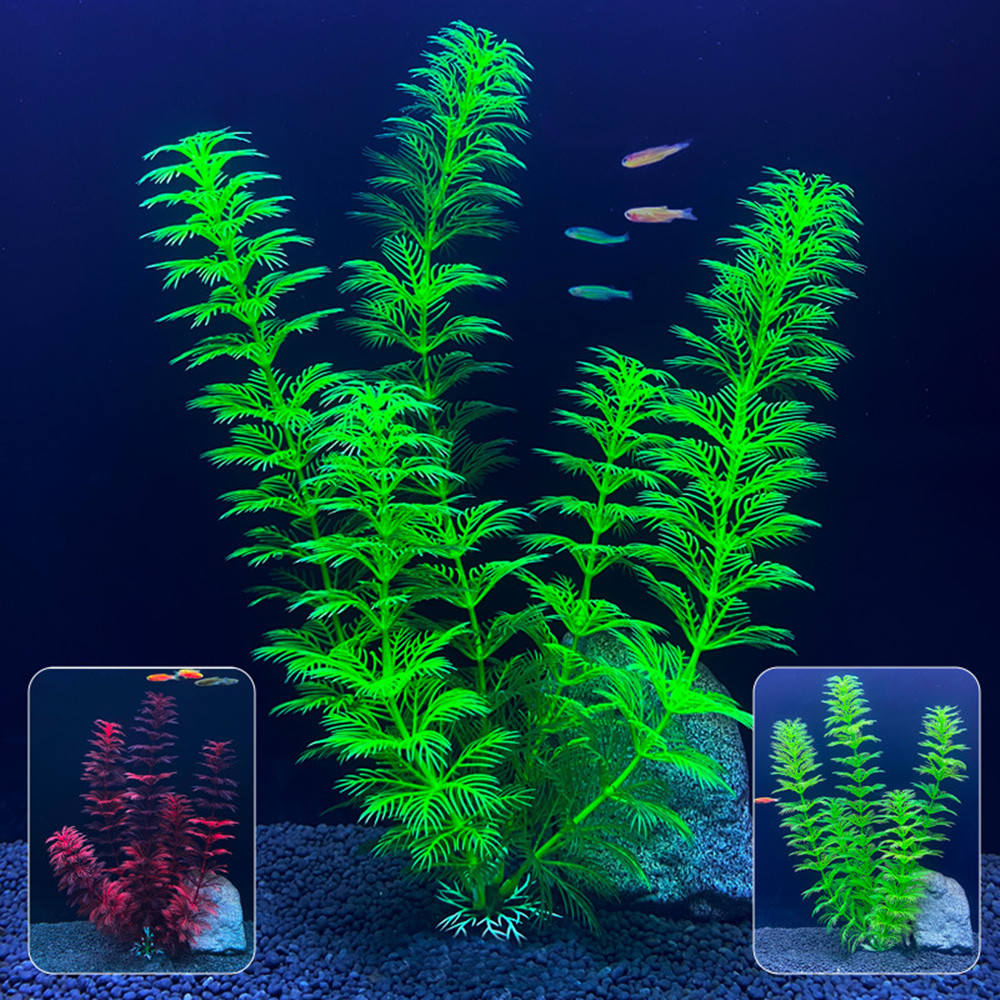 14cm - 30cm Fake Aquarium Plan - Live Plant Aquarium review and price
