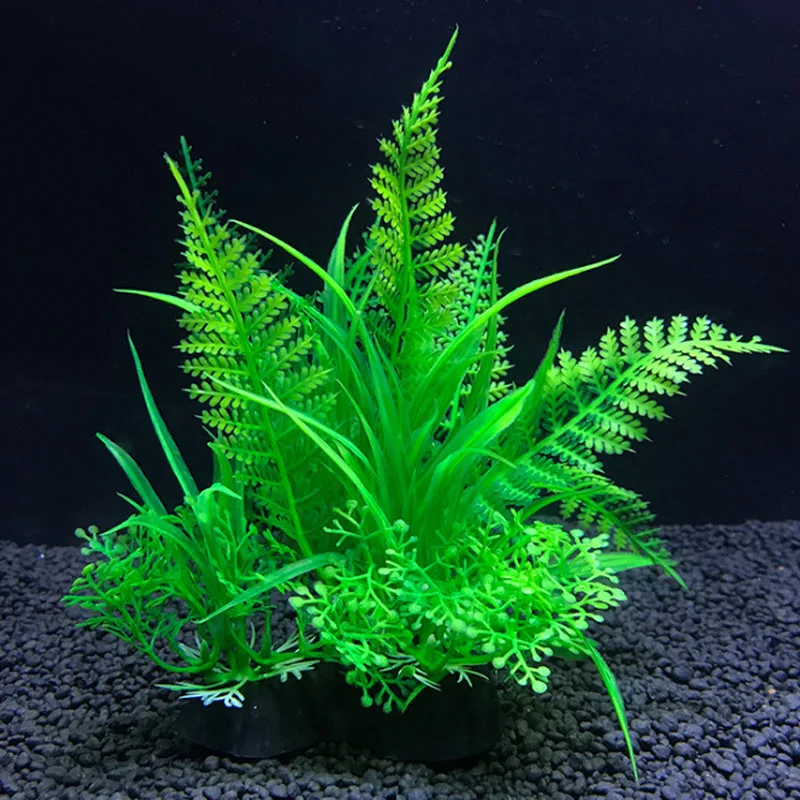 Aquarium Artificial Decor Plan - Live Plant Aquarium review and price