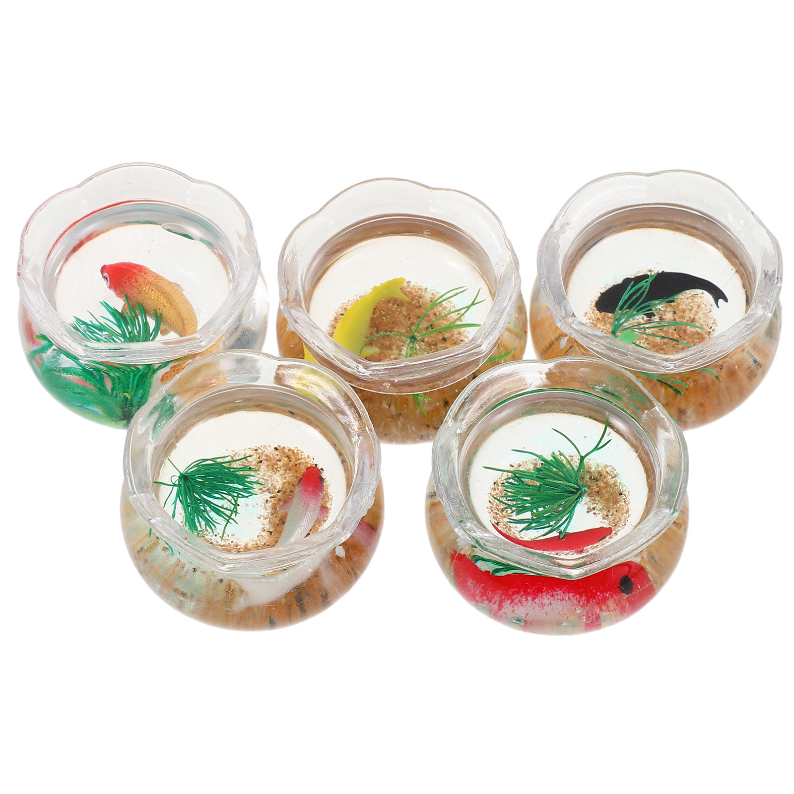 5Pcs Mini Fish Bowl Realistic  - Planted Tank review and price